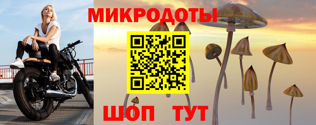 Псилоцибиновые грибы прущие грибы  хочу   Белогорск  Галлюциногенные грибы Psilocybine cubensis  Вход с VPN 